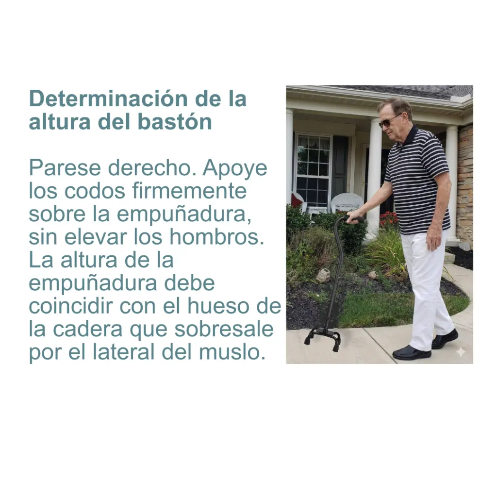 IMRW-0003-Bastón de apoyo de cuatro patas_6.webp