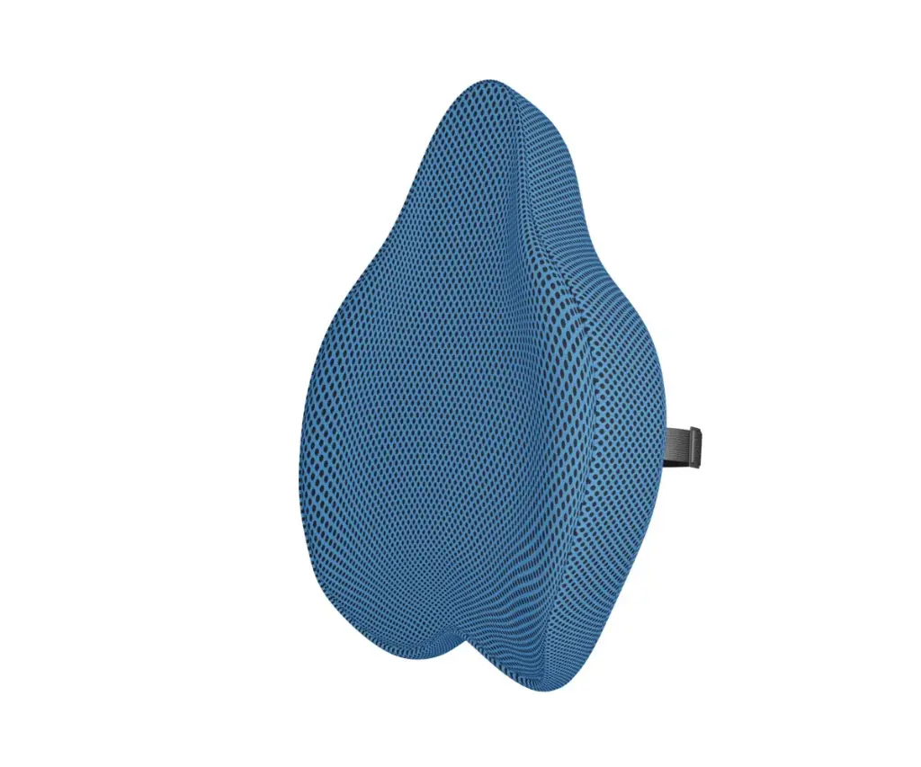 Cojín de Respaldo Anatómico Theraactive